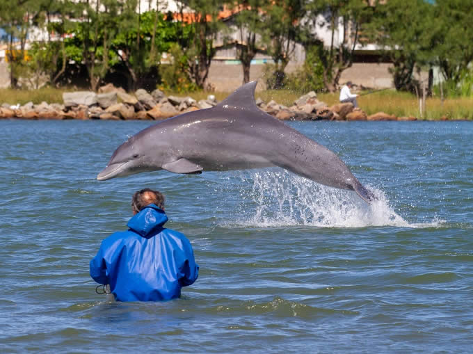 Laguna - Boto Pescador